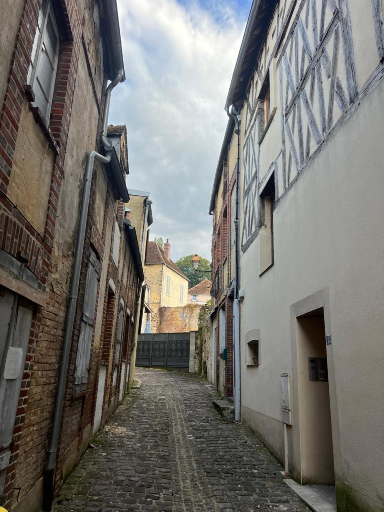 Гостевой дом Le Citadin Bourguignon Toucy Экстерьер фото